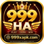 999HA-logo